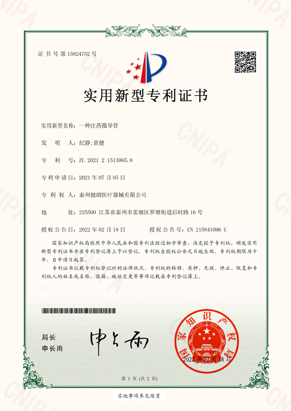 一種注藥微導管