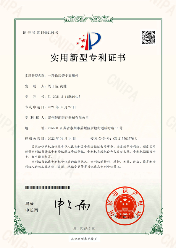 一種輸尿管支架組件